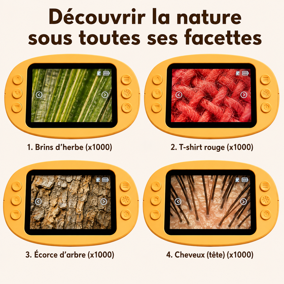 Le microscope qui fait oublier les écrans