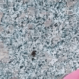 Le microscope qui fait oublier les écrans